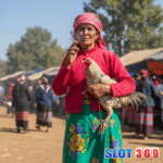 Pelatihan Sabung Ayam Apa Faktor Penentuan Kemenangannya